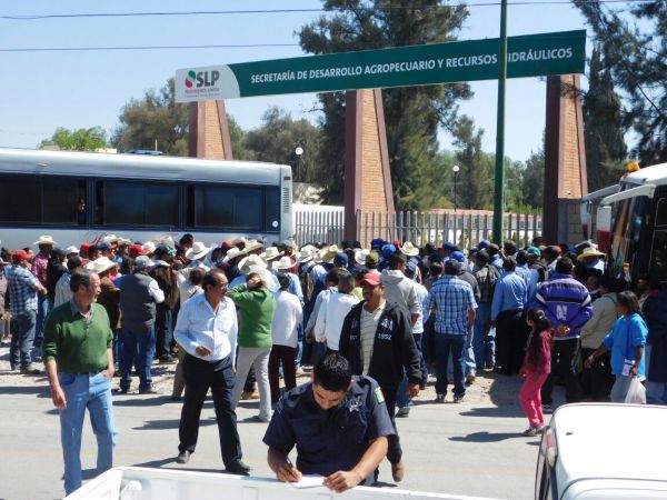Campesinos potosinos en el abandono 