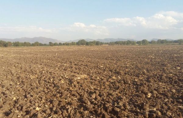  Campesinos recibirán agroincentivos gracias a la gestión antorchista 