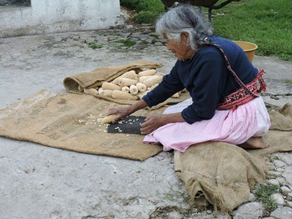 Niega Sagarpa atención al campo mexicano