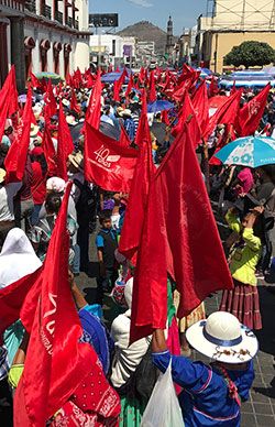 18 años de lucha a favor de los más humildes de Nayarit 