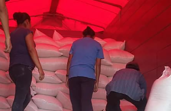 Cientos de familias de Huehuetla reciben maíz para consumo 