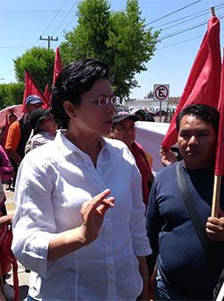 Demandamos intervención seria del Congreso en asunto Tellería