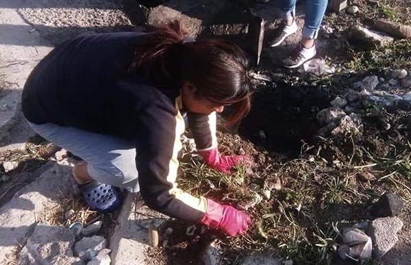 Colonos de Mariel mejoran su entorno