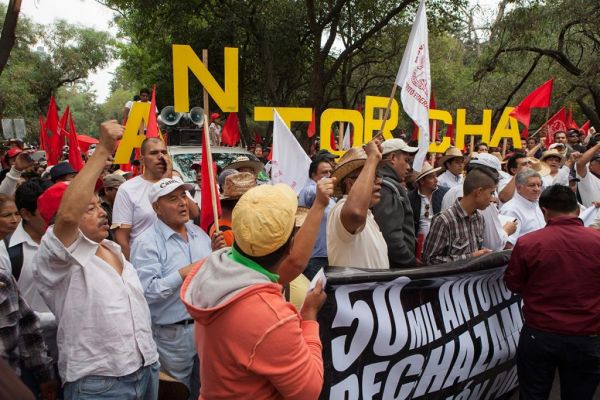 A 45 años de existencia