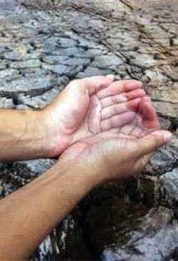 Sin agua y saneamiento el hombre retrocede como ser humano 