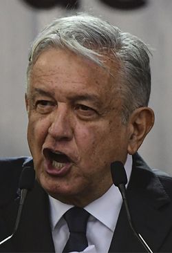 ¿Vamos por buen camino con Morena?