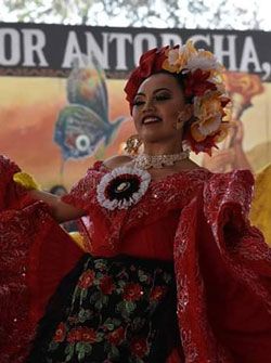 El festejo del 45 aniversario y la formación del partido político