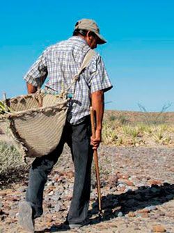 El campo y colonos: víctimas del recorte presupuestal  
