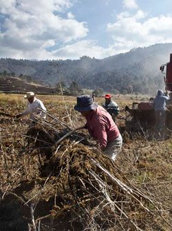 El campo mexicano en tiempos de la 4T