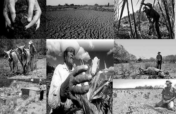 Gobierno abandona a campesinos