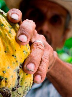 Ante el Covid-19, urge un plan de alimentos