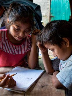 Clases en línea: una casa de paja frente a la pandemia