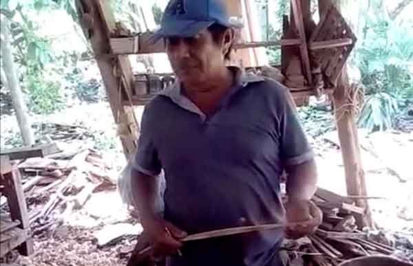 Pierden campesinos y apicultores cosechas por lluvias, piden ayuda gubernamental