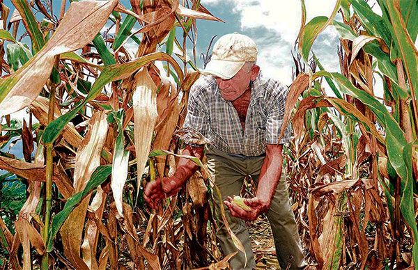 Campo mexicano en decadencia