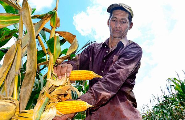 Campesinos no son prioridad para López Obrador: Juan Pedro Martínez