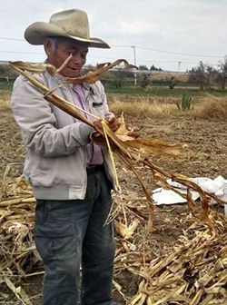 Campo oaxaqueño, en su peor momento