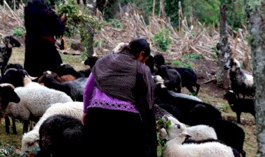 La gente sigue buscando la mejoría para sus comunidades y pueblos