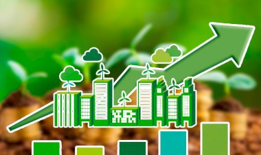 Hacia un nuevo modelo económico: consideraciones sobre el problema ambiental
