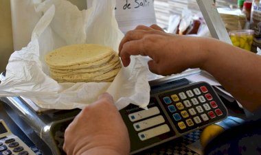 Aumenta precio de tortilla