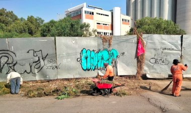 Antorcha gestiona poda de árboles para Tecamachalco