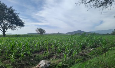 Disminuye calidad de vida para pobladores de San Félix Rijo
