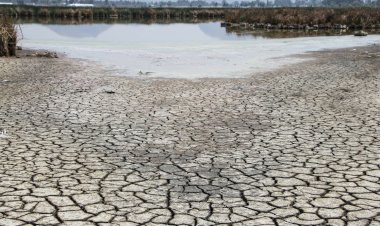 En Durango hay crisis de agua para uso agrícola y doméstico