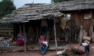 Ante ignorancia y sumisión, la cultura y educación 