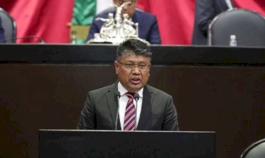 Un diputado federal con cero resultados