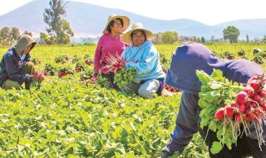 Falta de empleos dignos y bien remunerados provocará un estallido social