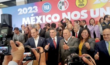 Elección dividida
