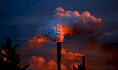 La crisis ambiental llegó para quedarse