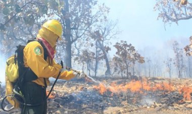 Incompetencia gubernamental: el incendio que asola Guerrero