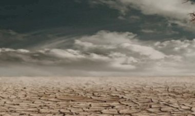 Se acerca el terrible día cero  (I/II)