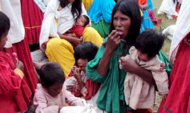 Desnutrición infantil en rarámuris, una crisis mortal