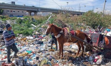 Tiraderos de basura, posible foco de infección en Ecatepec, Estado de México