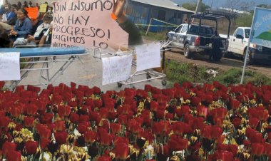 La primavera que no florece en Oaxaca