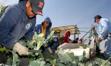 Chiapas necesita nuevos ingresos ante deportaciones: experto