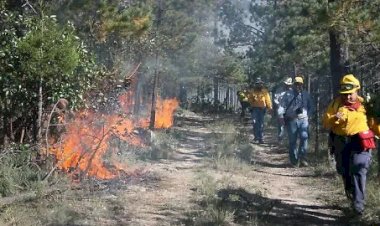 Sierra Tarahumara, alerta por incendios forestales