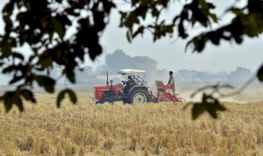 El campo sinaloense, en caída libre