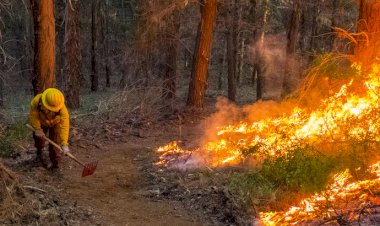 Sierra Tarahumara, alerta por incendios forestales