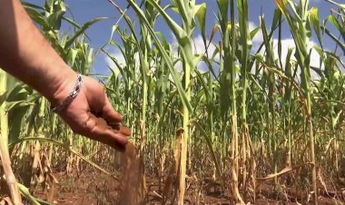 Sequía en Jalisco exige medidas urgentes