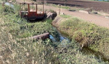 El sector agropecuario de Sinaloa, en gravísima crisis