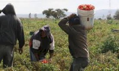Impuestos a las remesas: otro golpe a la clase trabajadora mexicana
