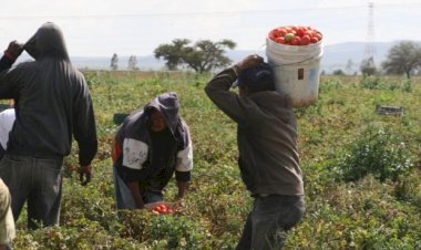 Impuestos a las remesas: otro golpe a la clase trabajadora mexicana