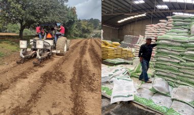 REPORTAJE | Campesinos de Edomex, sin cosechas, abono ni apoyo de Morena