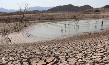 Gobierno federal, impávido ante desastre agropecuario de Sinaloa