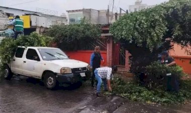 Huracán “Erick” daña pequeños comercios en Cuenca del Papaloapan