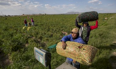 Nulos o pocos avances con política del bienestar en Huatabampo