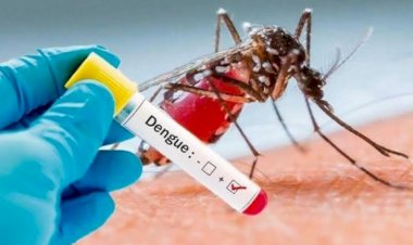 Crece dengue en Morelos: 73 casos y 1 muerte