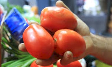 Arancel al tomate traerá más desempleo y pobreza